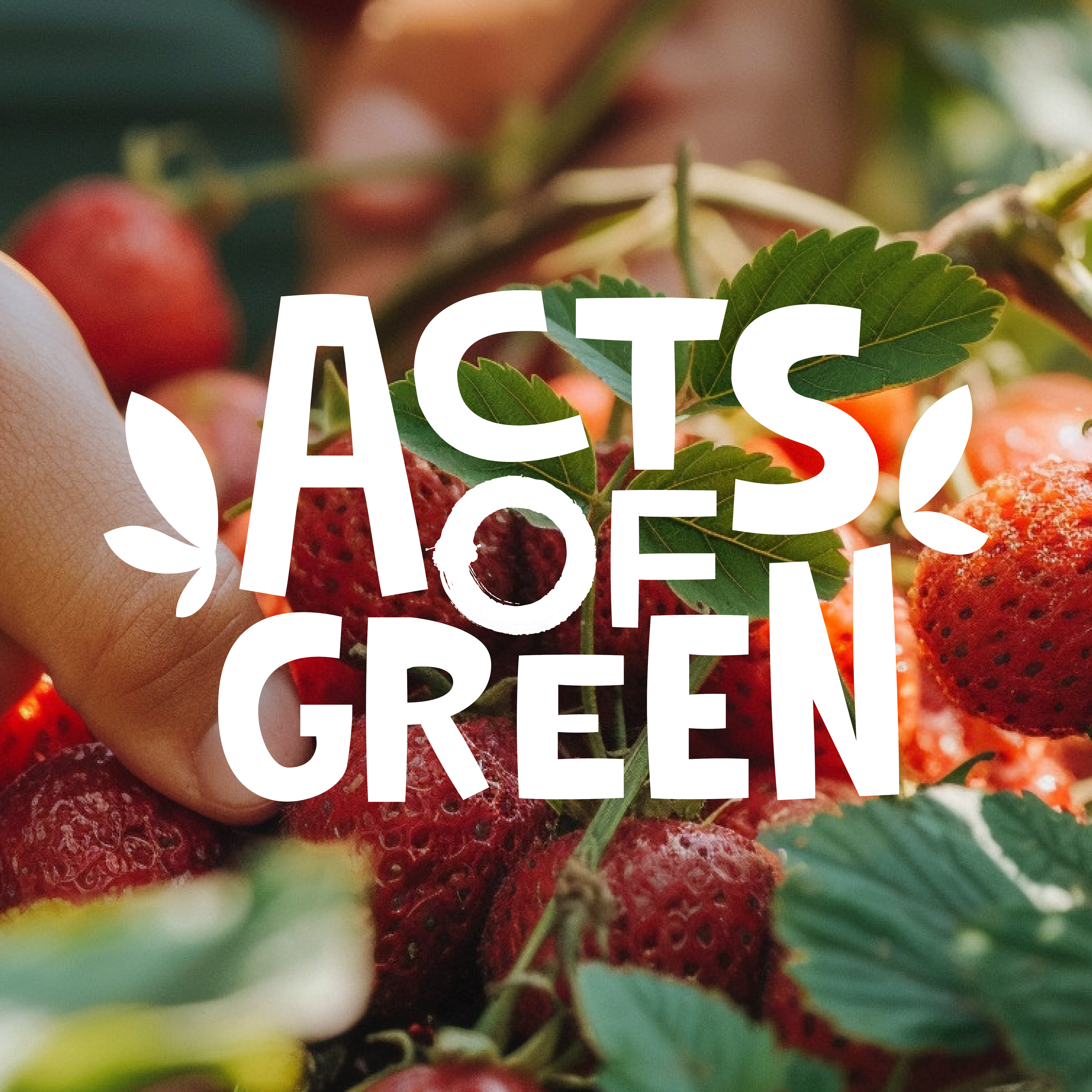 alt visuel custom AoG Saison Beeren Webslider
