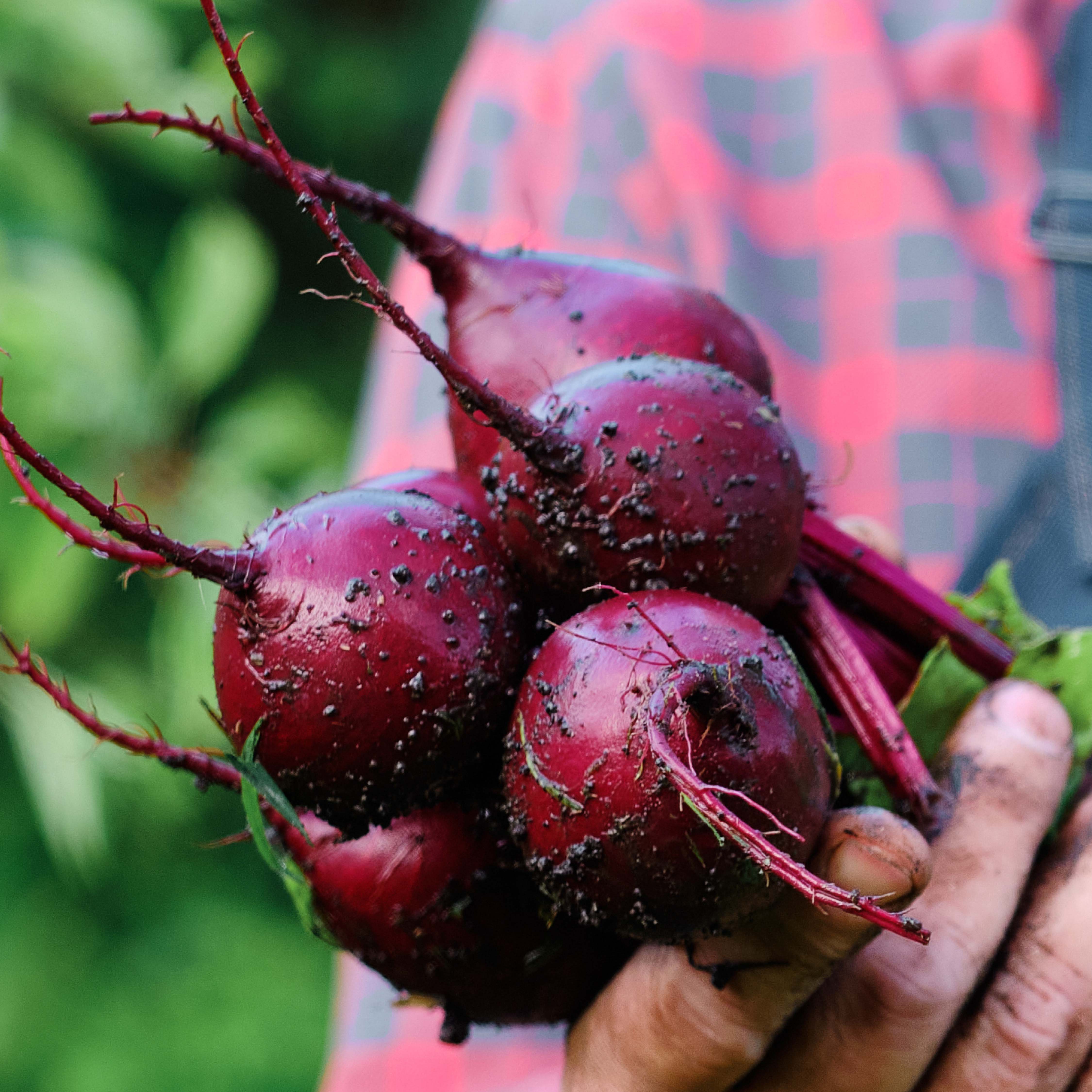 alt visuel custom Saisonale Randen 26.-30.10.2026 PD